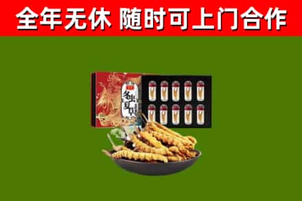 黎川回收冬虫夏草价格